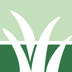 Invasive Knotweed Management Pros