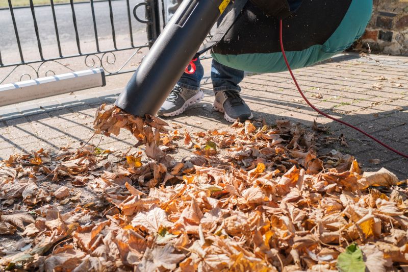 Tools for Fall Cleanup