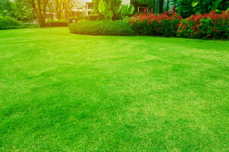 Long-term Lawn Health